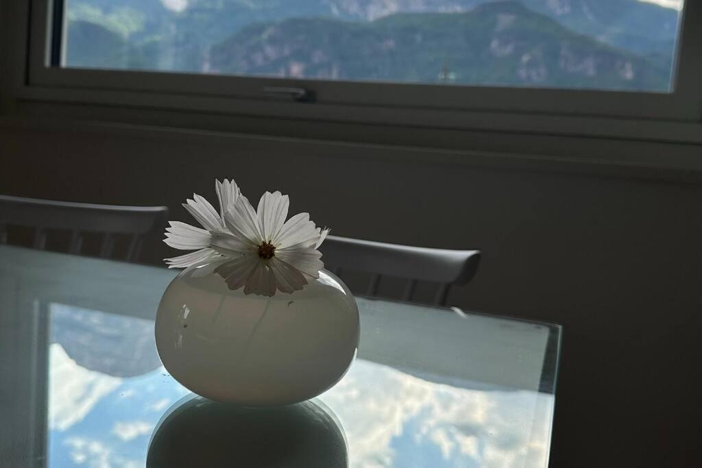 Haus Hafner Sonniges Apartment Terlano Dış mekan fotoğraf
