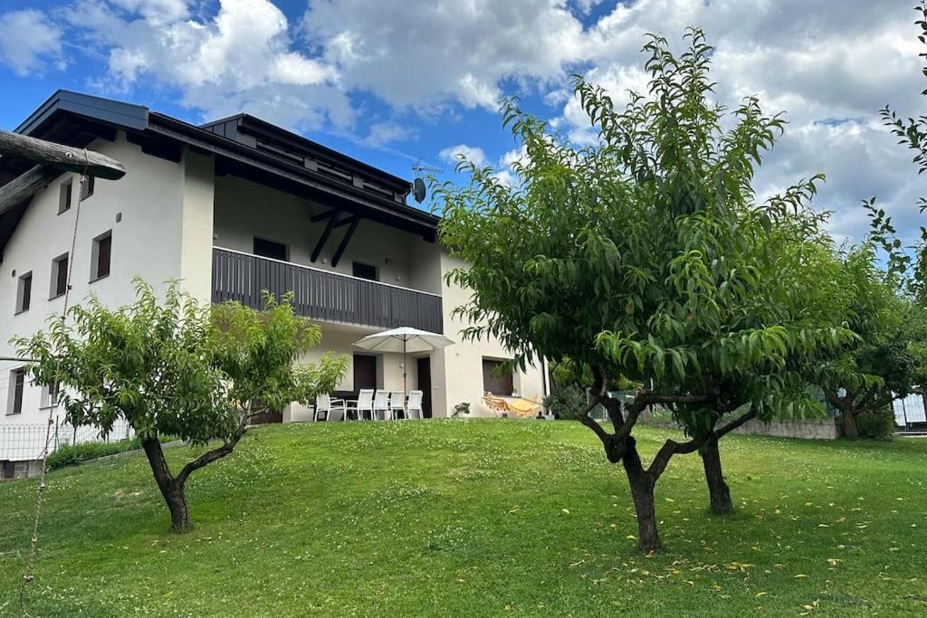 Haus Hafner Sonniges Apartment Terlano Dış mekan fotoğraf